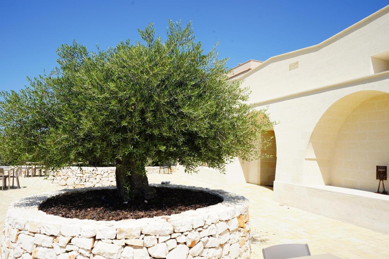 Masseria Acquasale - Relais & Restaurant San Giorgio Ionico Esterno foto